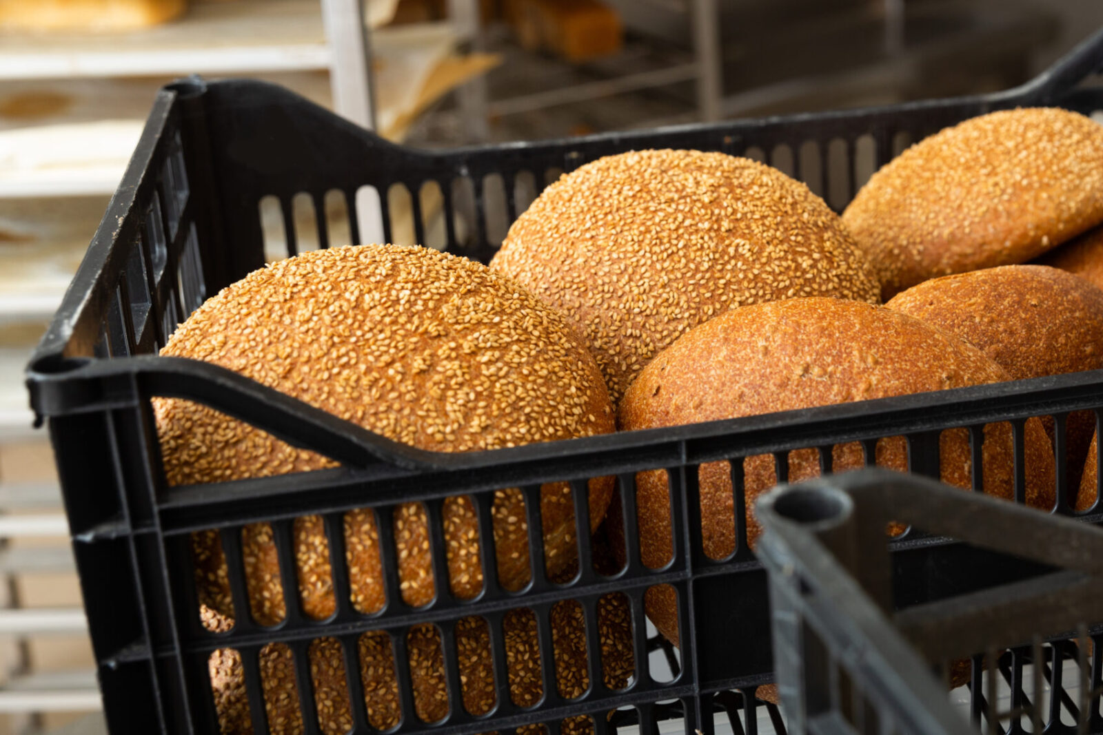 Fresh hot bread in crates in bakery